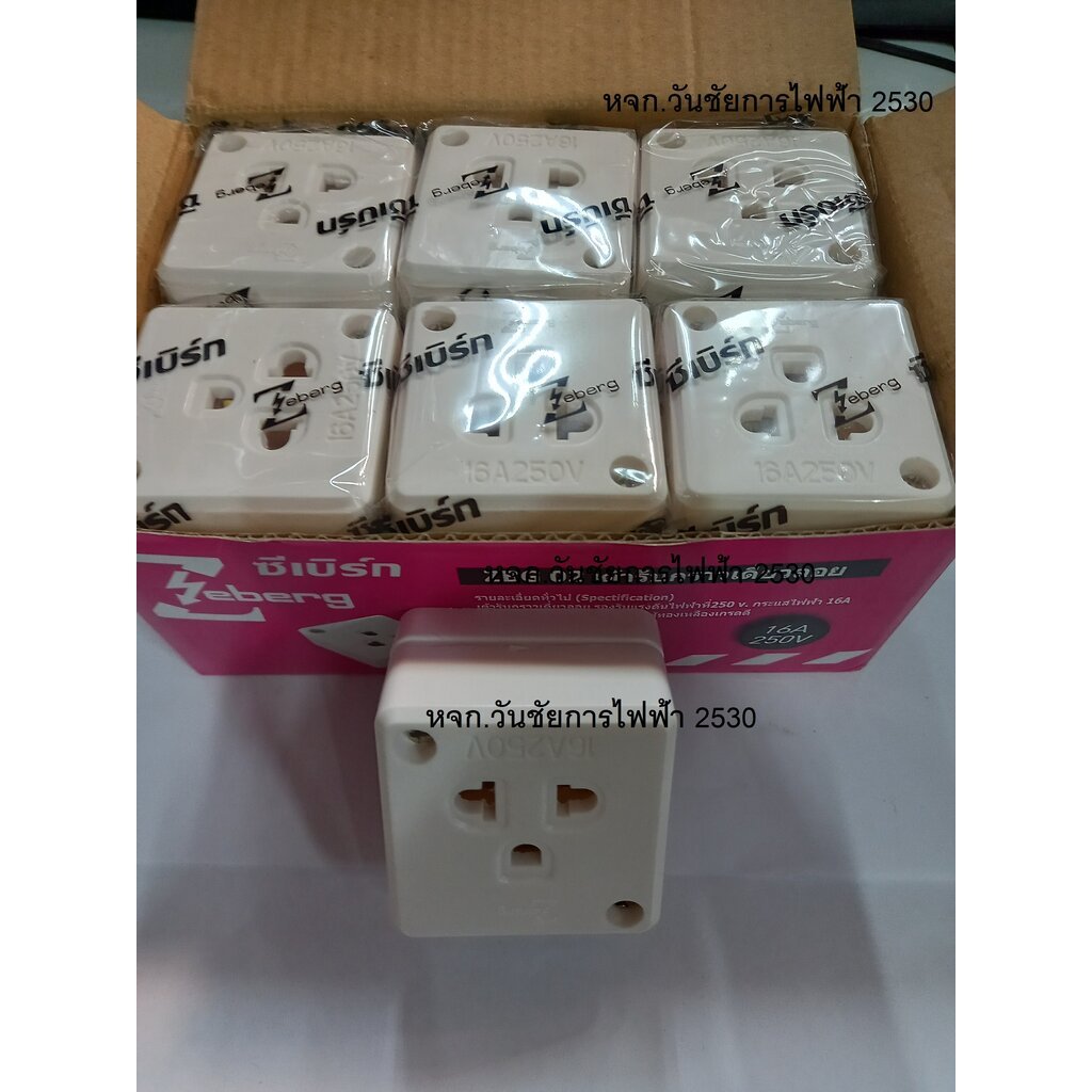 ปลั๊กกราวน์เดี่ยวลอย ZBG02 Zebreg ปลั้กลอย