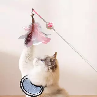 การออกแบบรอยเท้าน่ารัก Feather Teasing Cat Rod Stick ของเล่น Interactive Teaser สําหรับลูกแมว
