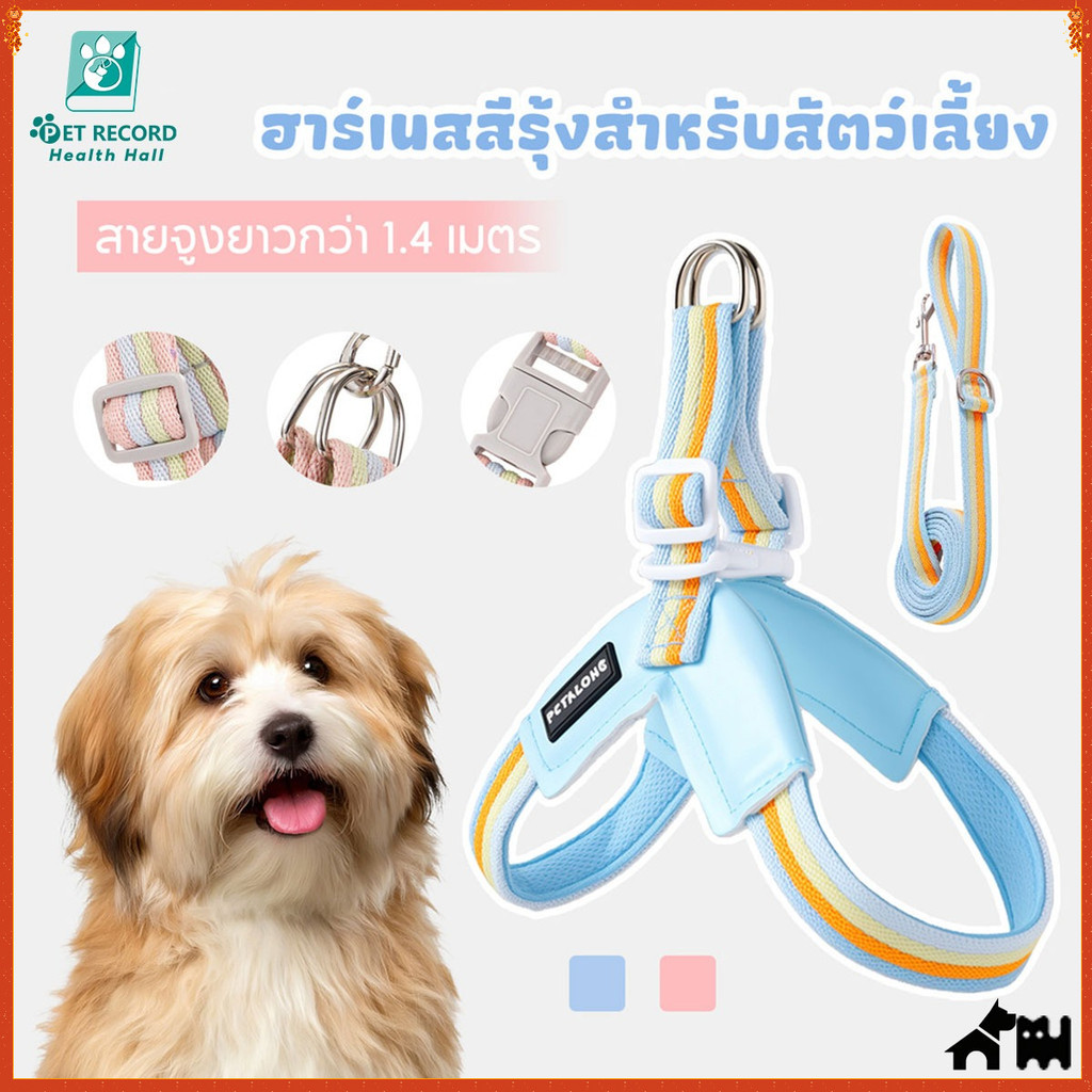 สายรัดอกแมวและสุนัข ฟรีสายจูง สายรัดอก + สายจูงสัตว์เลี้ยง สุนัข แมว