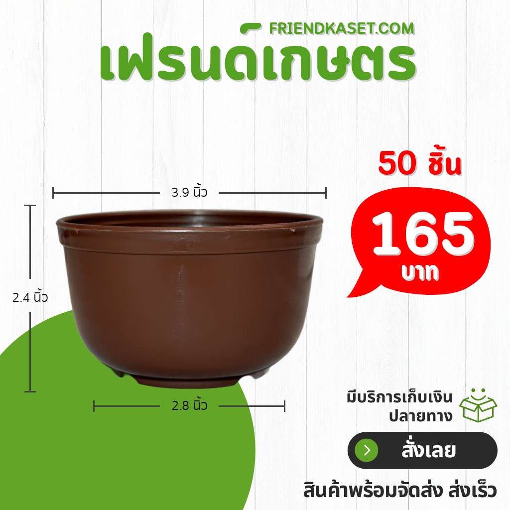 กระถาง กระถางแคคตัส ถ้วยจีน 5 นิ้ว สีดำ - รูปที่ 5