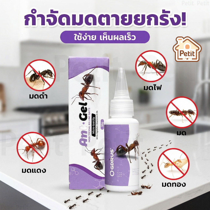 เจลกำจัดมดแบบหยด เหยื่อกำจัดมดชนิดเจล ใช้ง่าย ไม่ฟุ้งกระจาย ช่วยกำจัดมดได้ทั้งรัง 30g