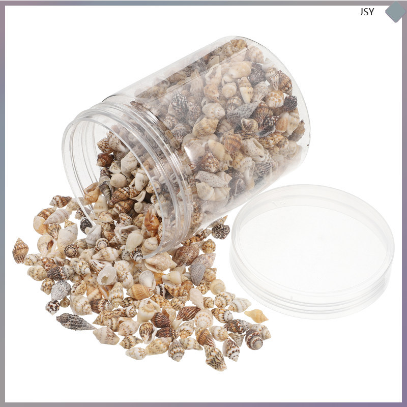 แจกัน Conch Shells Aquarium Accessories Decorative junshaoyip