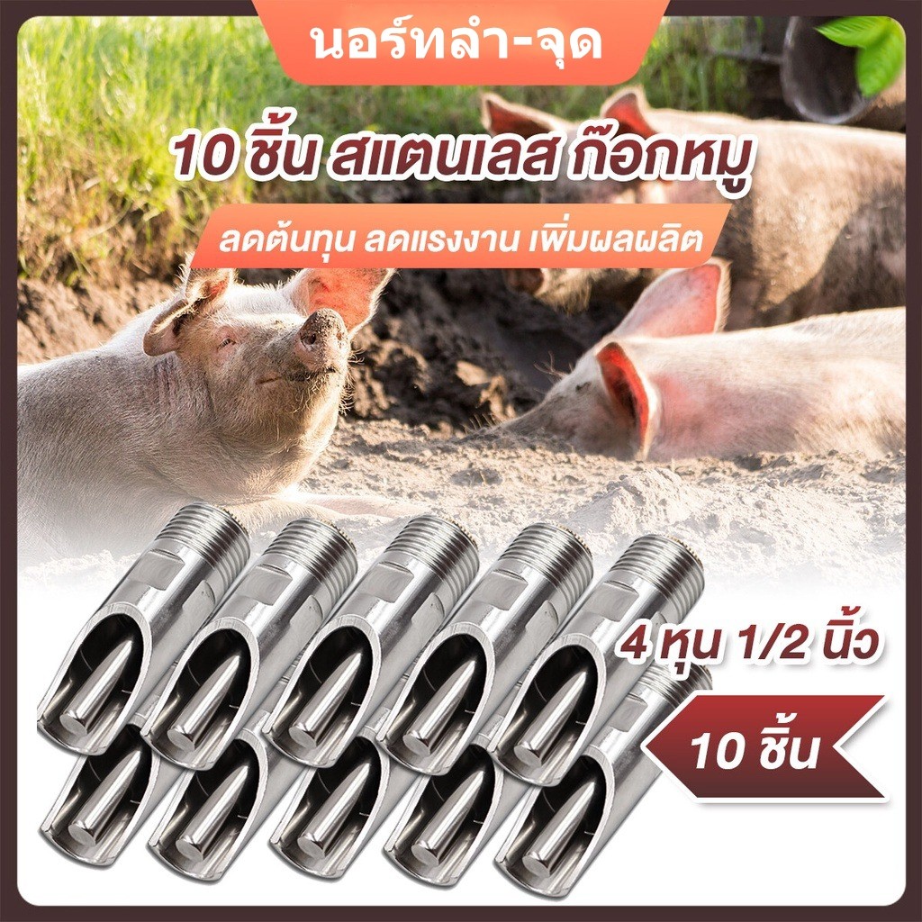 （COD）10PCS ก๊อกน้ำหมู สเตนเลส ก๊อกหมูกินน้ำ จุ๊บหมู ก๊อกหมู ขนาด 1/2 นิ้ว (ต่อชิ้น)