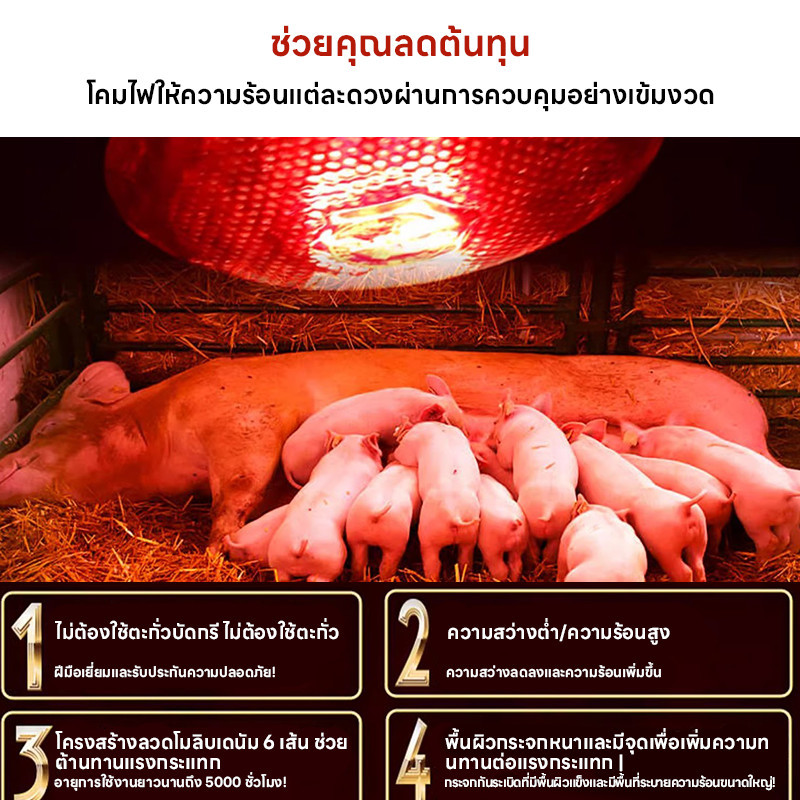 หลอดไฟเลี้ยงสัตว์ 100-275W E27 แก้วหนา Infrared Basking Spot หลอดไฟอินฟาเรด หลอดไฟกกสัตว์ หลอดไฟให้ความอบอุ่น - รูปที่ 5