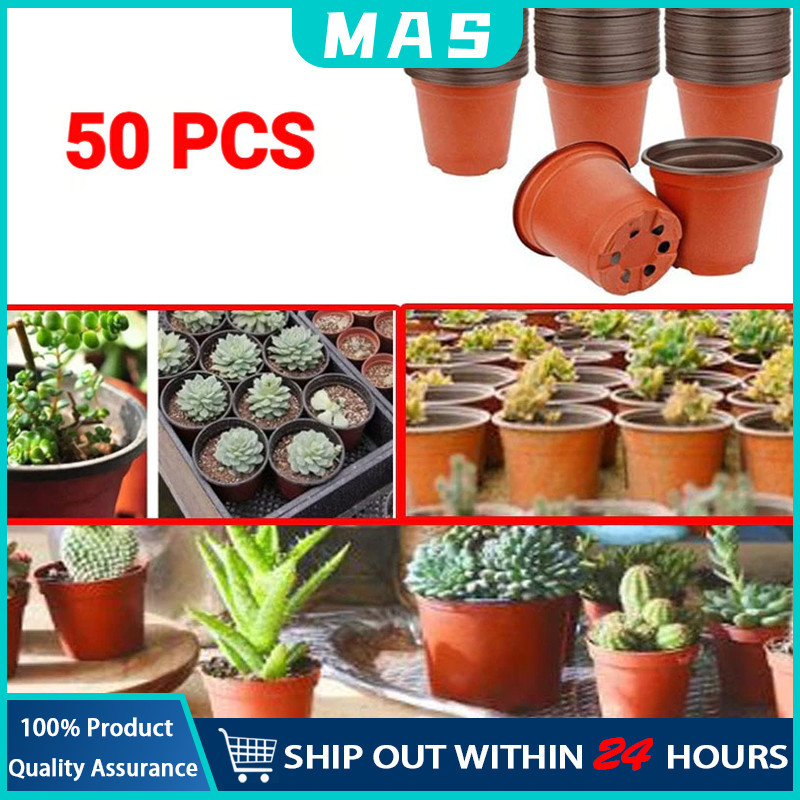 MAS 50Pcs กระถางพลาสติก กระถางต้นไม้พลาสติก ้นกล้าพืชในเรือนเพาะชำ  กระถางดอกไม้พลาสติก หลายขนาด