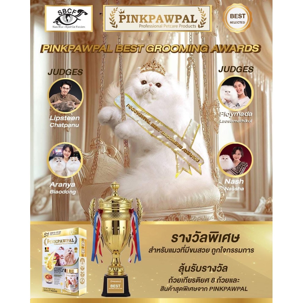 รูปภาพ 4