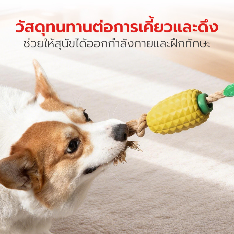 Pet Star لعبة مطاط طبيعي سميكة للكلاب — صورة 6
