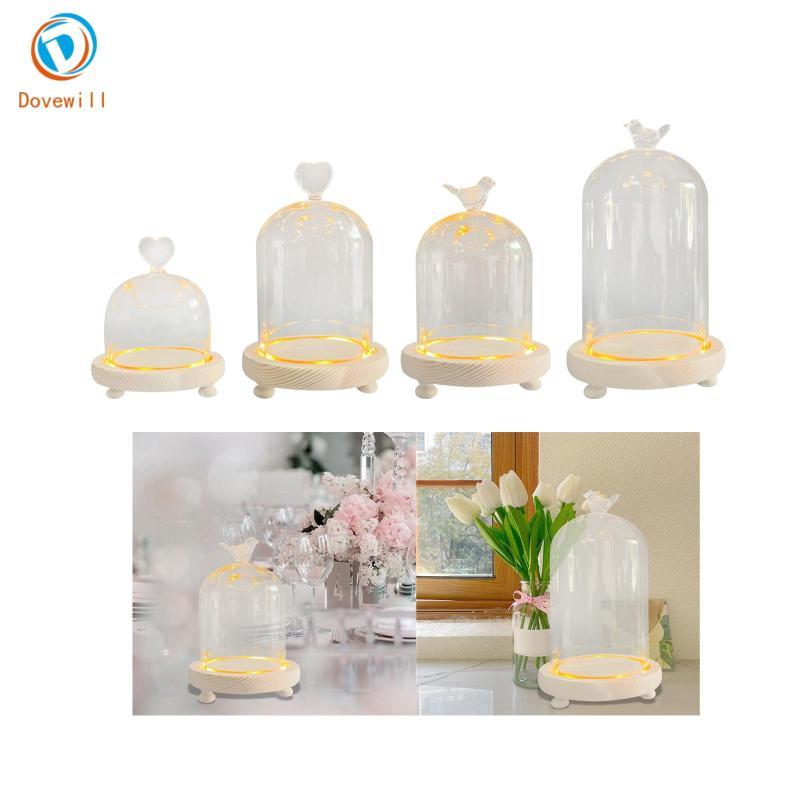 [Dovewill] Glass Cloche Dome Transparent Dome Cloche Office Micro Landscape Holder DIY