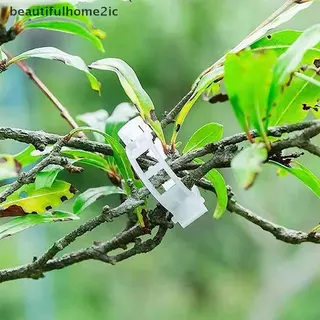[ใหม่] 100 ชิ้น Secureed พลาสติกคลิปพืชอัพเกรดคลิปสนับสนุนพืชคลิปสวนสําหรับปีนเขาพืชสนับสนุนพืชแก้ไข [TH]