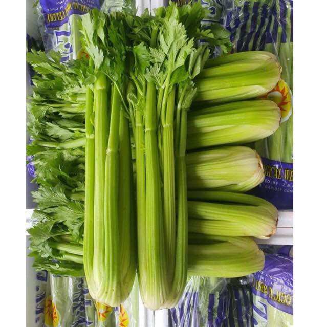 111 พร้อมส่ง‼️(1kg) เซเลอรี่สดนำเข้า celery ขึ้นฉ่ายฝรั่ง Good