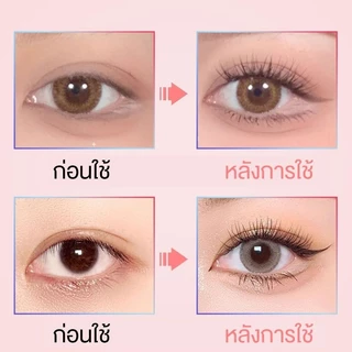 【ไม่ต้องใช้กาว】ขนตาปลอม3มิติ แบบมืออาชีพ มีกาวในตัว เครื่องมือแต่งหน้ ขนตาปลอมธรรมชาติ 3D มีกาวในตัว สําหรับแต่งหน้า