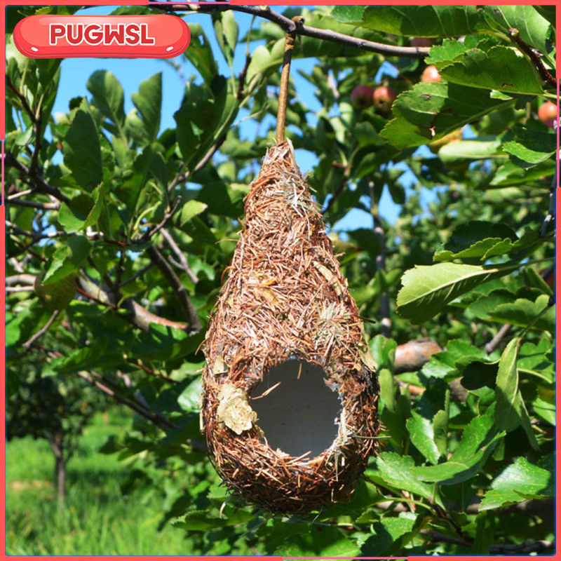 [pugwsl] บ้านนก รังนก ตกแต่งห้องทํารังในสวน กล่องรัง 8 ประเภท