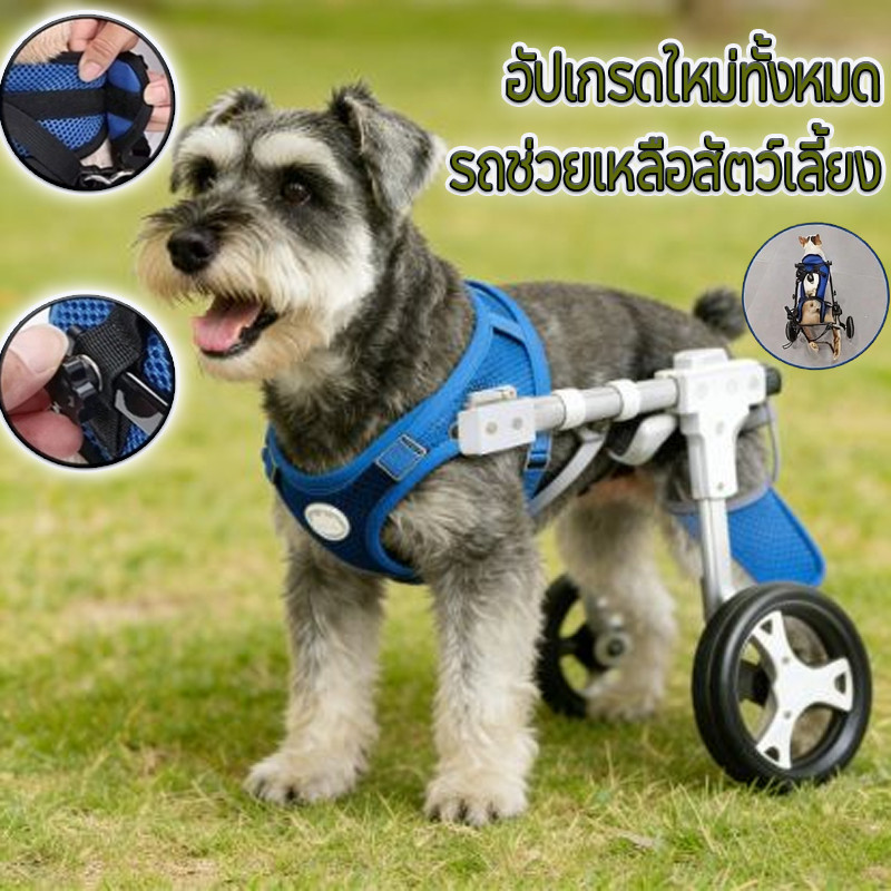 COD รถเข็นสัตว์เลี้ยง สัตว์เลี้ยงช่วยรถ อุปกรณ์ช่วยฟื้นฟูสัตว์เลี้ยง สำหรับสัตว์พิการ มีหลายขนาดปรับได้ ﻿