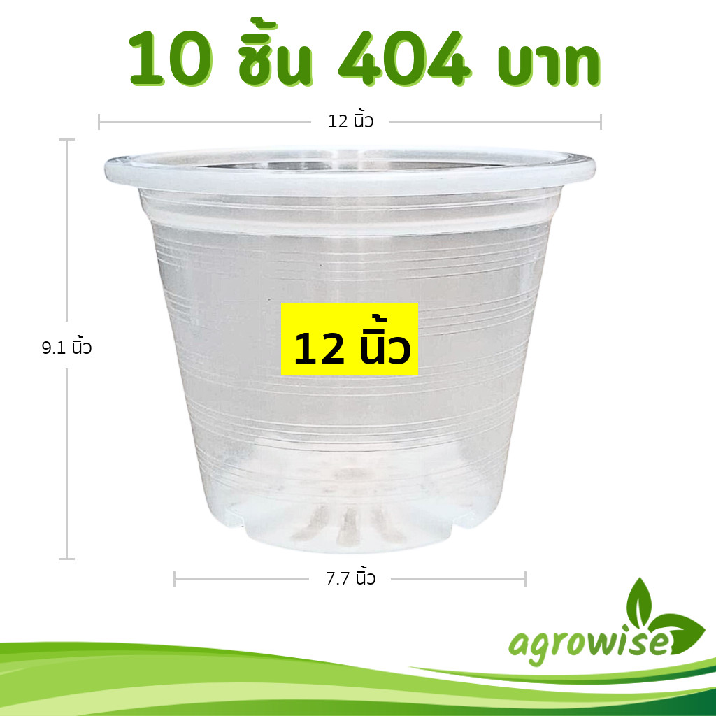 กระถาง กระถางต้นไม้ กระถางขาว เบอร์ 12 นิ้ว สีขาว 10 ใบ ชิ้น ยกมัด - รูปที่ 4