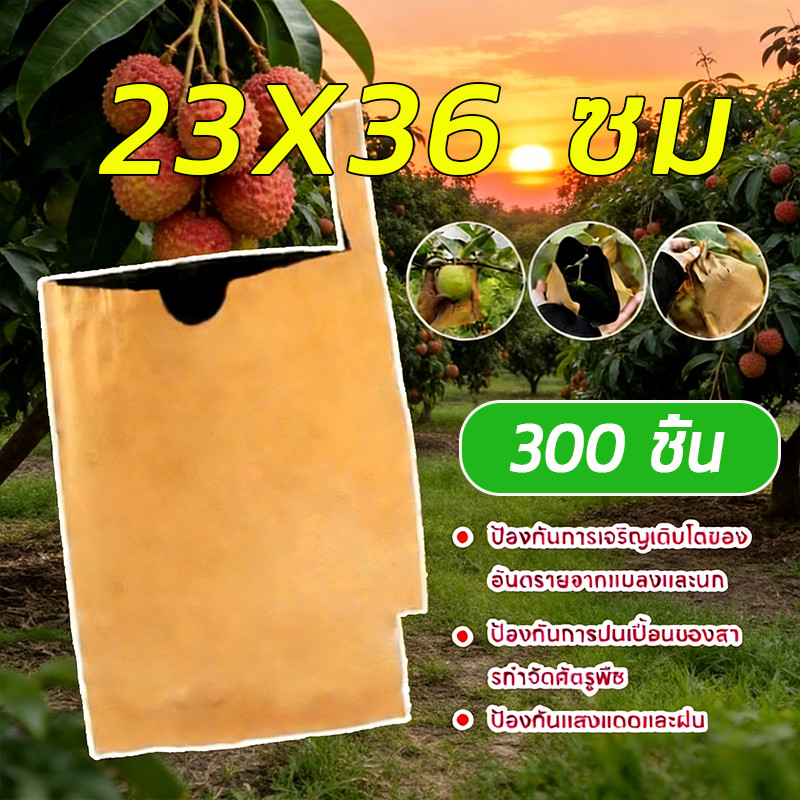 300 ใบ  ถุงห่อฝรั่ง คาร์บอนขนาด ถุงห่อผลไม้ 20*30 ซม ถุงห่อมะม่วงชุนฟงแพค 2 ชั้น กันน้ำ กันแมลงและนก แข็งแรงทนทาน