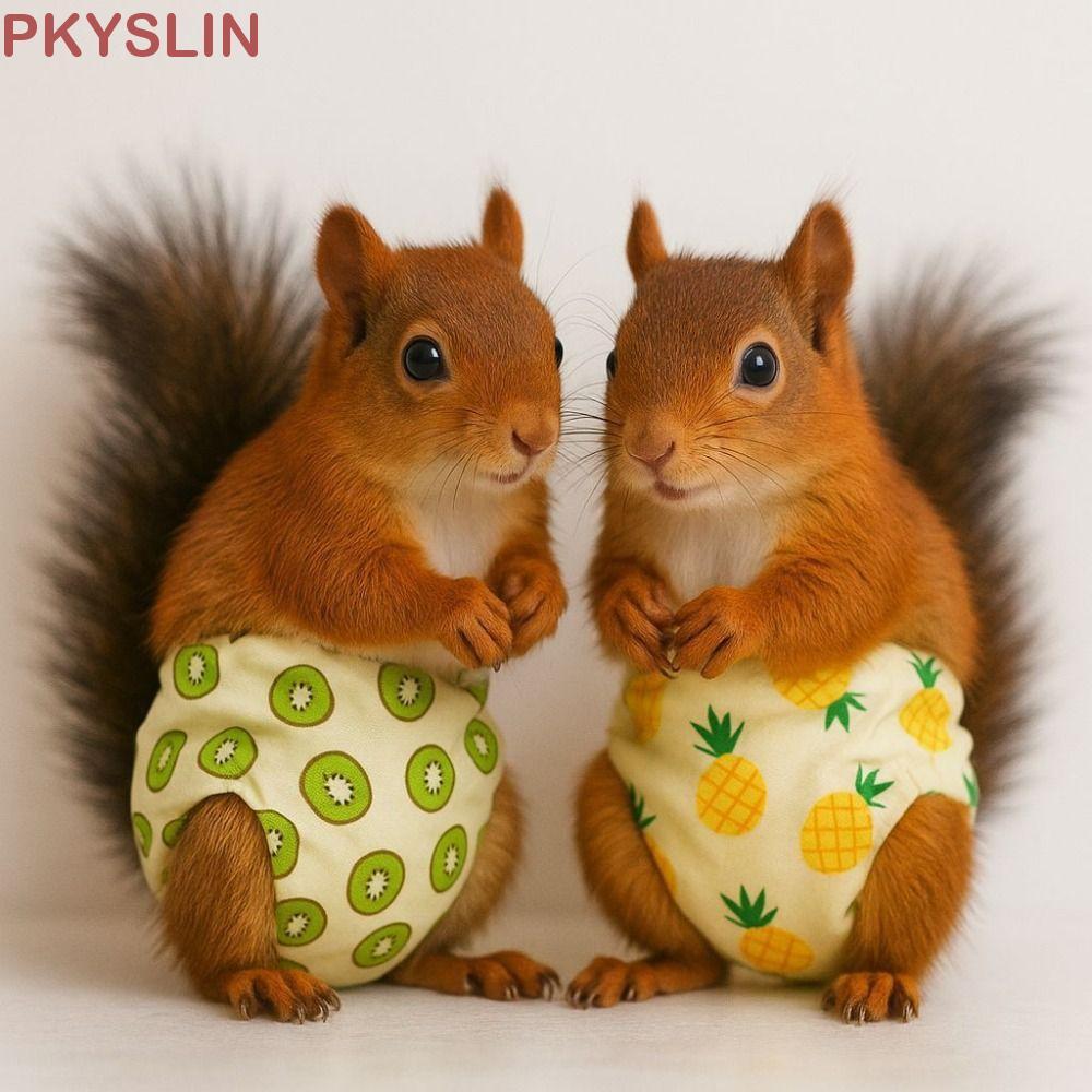 PKYSLIN ผ้าอ้อมกระรอก, กางเกงฝึกสัตว์เลี้ยงระบายอากาศดูดซับ, กางเกง Groundhog Leak-Proof สบายปรับกระรอกชุดชั้นใน Rat