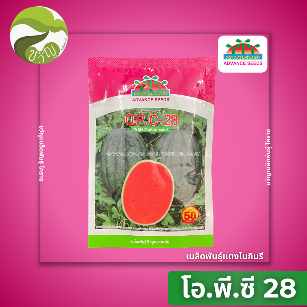 เมล็ดพันธุ์แตงโมกินรี แตงโม O.P. C-28 ( โอพี-ซี28 ) ตราตะวันต้นกล้า