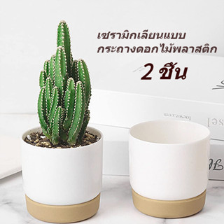กระถางกระบองเพชร กระถางดอกไม้เซรามิกเลียนแบบ 2 ชิ้น กระถางต้…