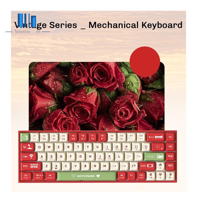 AK680 คีย์บอร์ดเกมคีย์บอร์ด ABS Keycap 68 คีย์คีย์บอร์ดแบบมีสาย Hot Swap สําหรับแล็ปท็อปพีซี