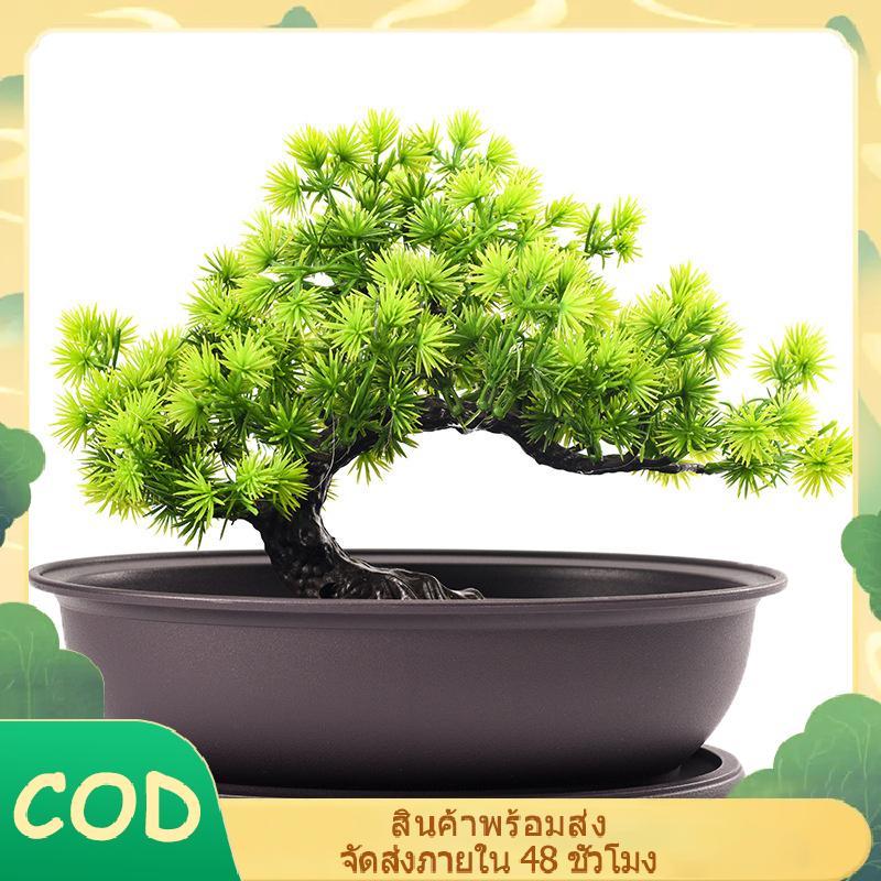 [YIHAN] กระถางดอกไม้พลาสติกเลียนแบบดินสีม่วง s Pots สวนภูมิทัศน์บอนไซหม้อถาดสี่เหลี่ยมชาวไร่ PH