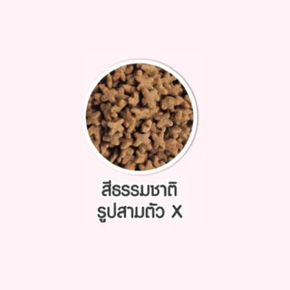 ชุด 25 ถุง อาหารแมว ดีนี่แคท Deenee Cat ราคาสบายกระเป๋า ขนาด 400 กรัม