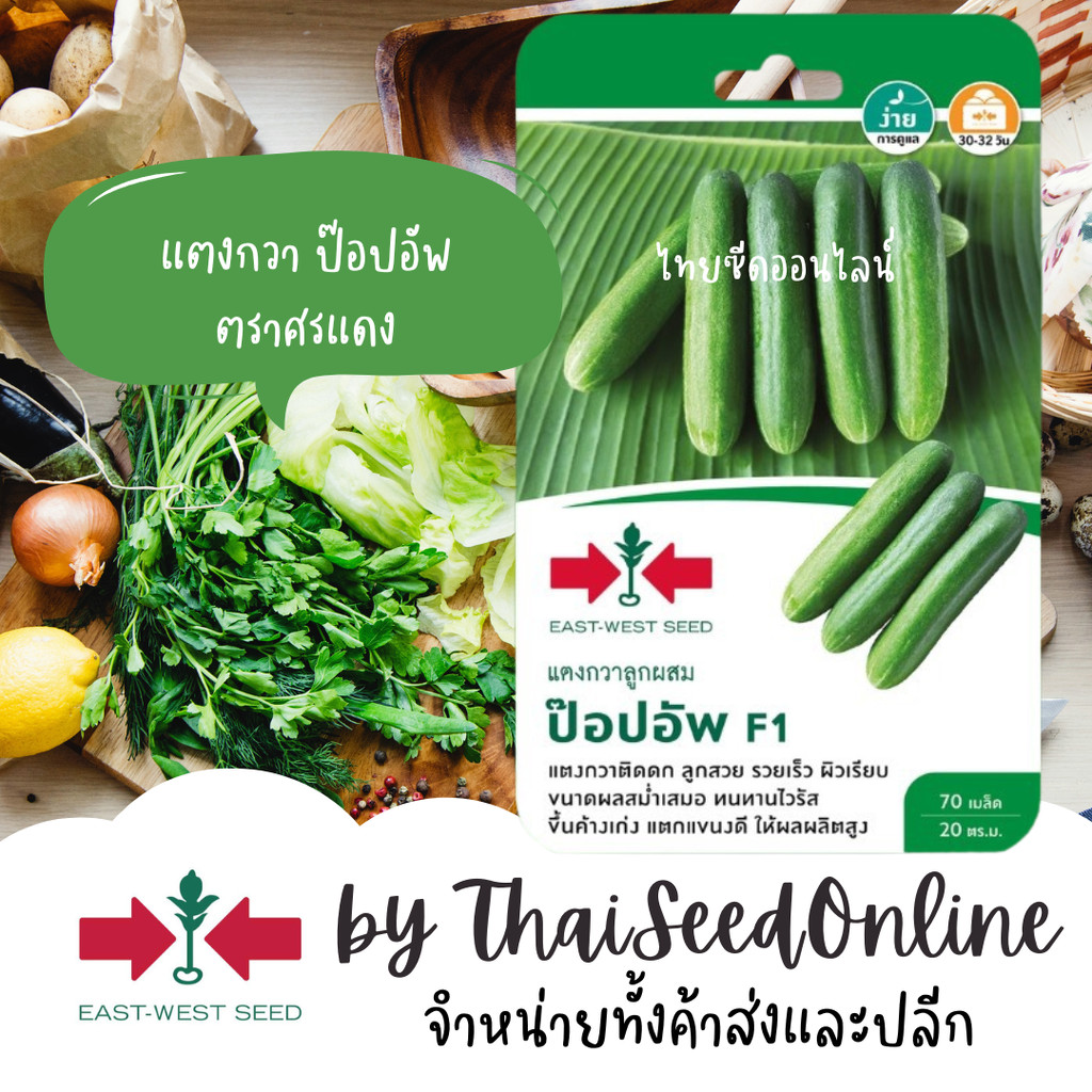 GGEW เมล็ดพันธุ์ซฟ แตงกวา ป๊อปอัพ 70 เมล็ด ตราศรแดง Pop Up Cucumber