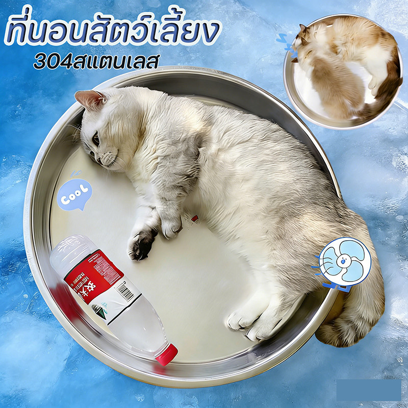 ที่นอนสัตว์เลี้ยง304สแตนเลส เย็นสบาย ระบายความร้อนตามธรรมชาติ ทำความสะอาดง่าย ที่นอนแมว เตียงสุนัข