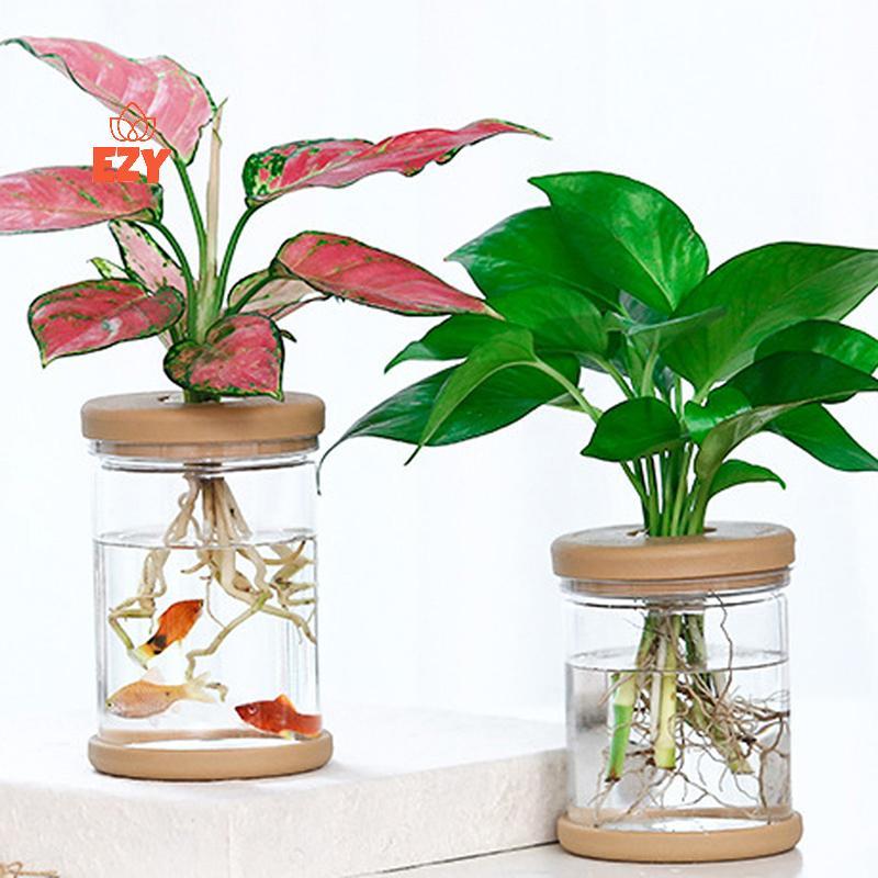 EZY Lazy โปร่งใสกระถางดอกไม้ Hydroponic อัตโนมัติการดูดซึมน้ํากระถางดอกไม้ใหม่