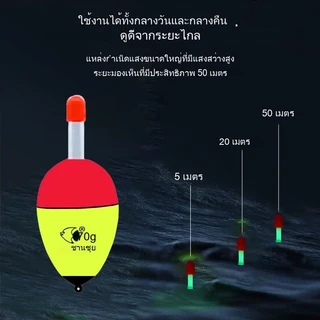 1PC 5-80g EVA โฟมตกปลา Bobber ตกปลาลอย Bobbers ทุ่นสําหรับ Pike Perch ปลาคาร์พเบสพยุงอุปกรณ์ตกปลา