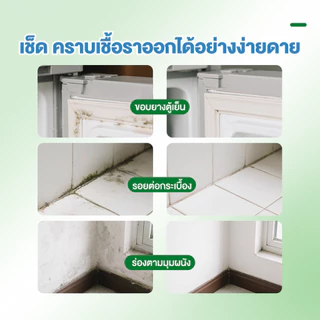 【Agate ของแท้】น้ำยาเช็ดเชื้อรา สเปรย์กำจัดเชื้อรา ฆ่าเชื้อรา ยับยั้งเชื้อรา ผนังไม่มีความเสียหาย ขจัดกลิ่นอับได้