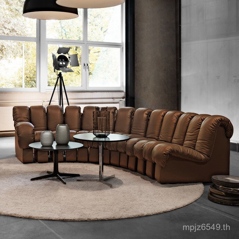 โซฟาโมดูลผสมฟรีอพาร์ทเมนต์ขนาดใหญ่ Villa s โซฟา ds600desede Designer กระดูกสันหลังงู 7SGP