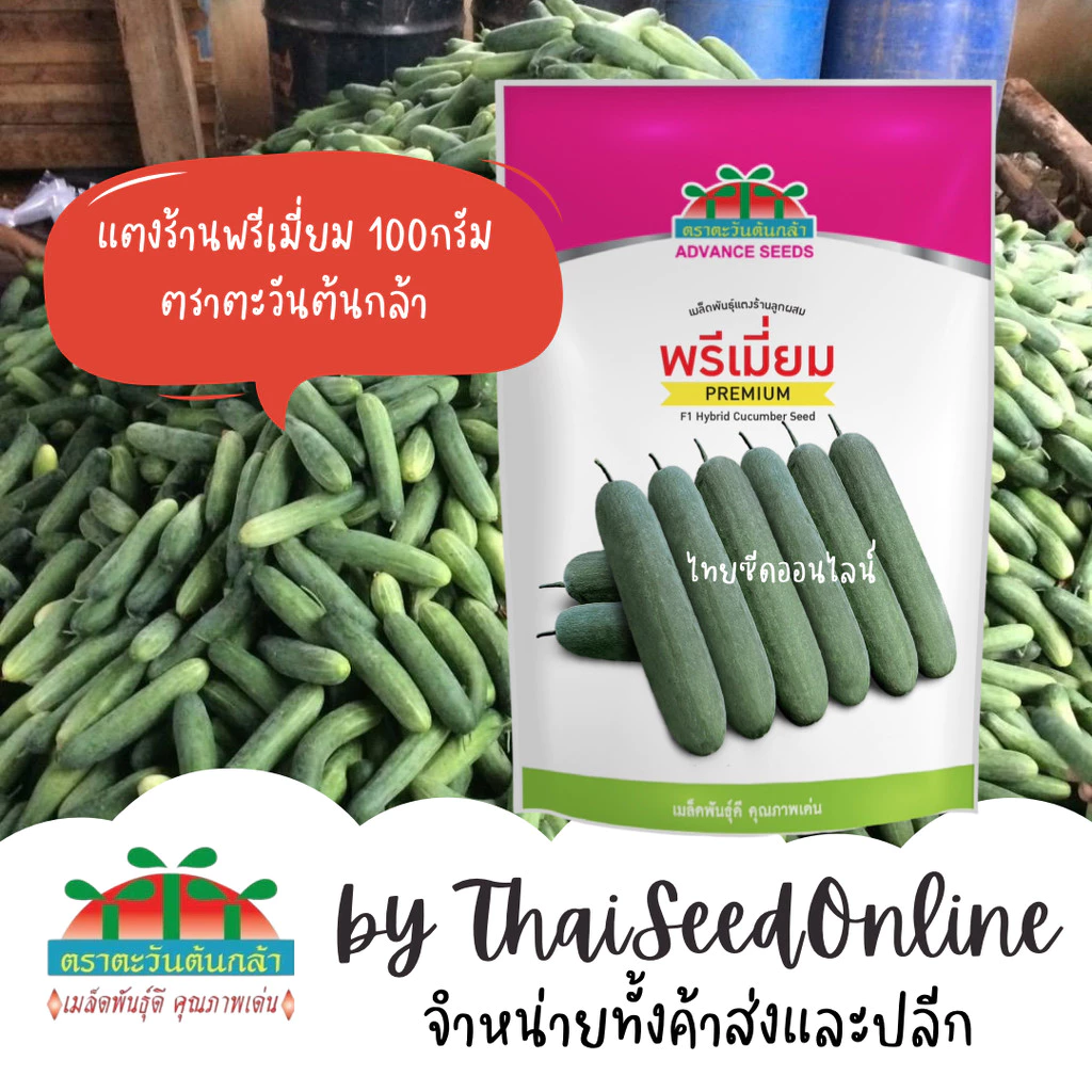 ADV โฉมใหม่ 100กรัม เมล็ดพันธุ์ แตงร้านพรีเมี่ยม 100 กรัม ตราตะวันต้นกล้า Cucumber F1