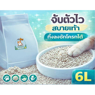 [พร้อมส่ง] เต้าหู้ตุ้บ ทรายแมวเต้าหู้แบบเกล็ด สูตรออริจินอล 6L 🐈 จับตัวไว ทิ้งชักโครกได้ ไร้ฝุ่น 99%