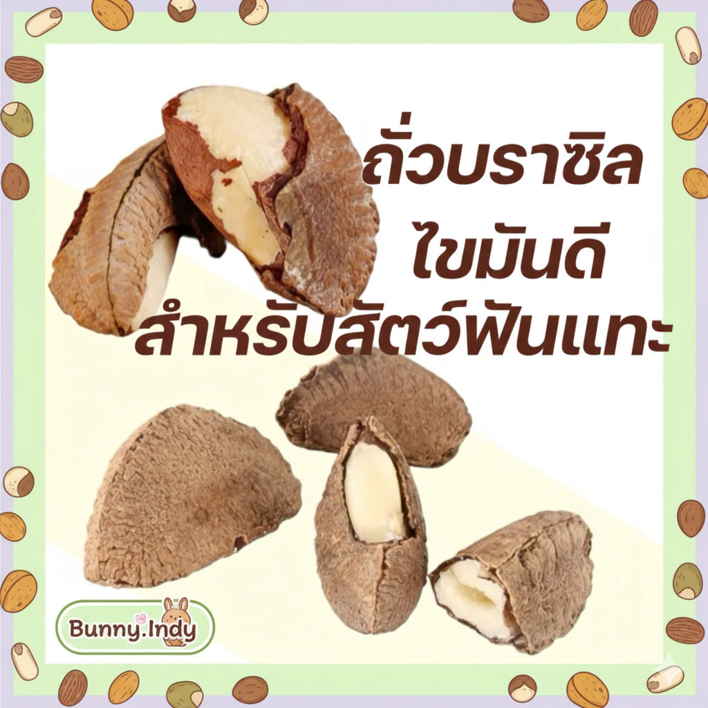 Bunny.indy ถั่วบราซิลสำหรับสัตว์ฟันแทะ – อาหารเสริมเพื่อสุขภาพ 1 ลูก