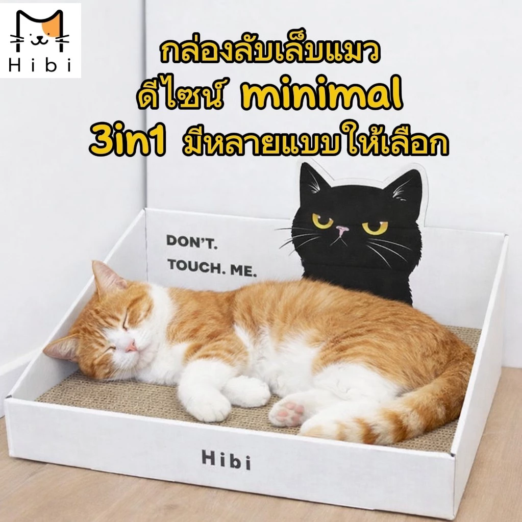 กล่องลับเล็บแมว ที่ลับเล็บแมว ที่นอนแมว 3in1