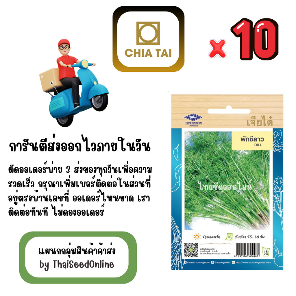 เจียไต๋ CTOP x 10 เมล็ดผักซองเจียไต๋ ผักชีลาว สินค้ายกแพ็ค