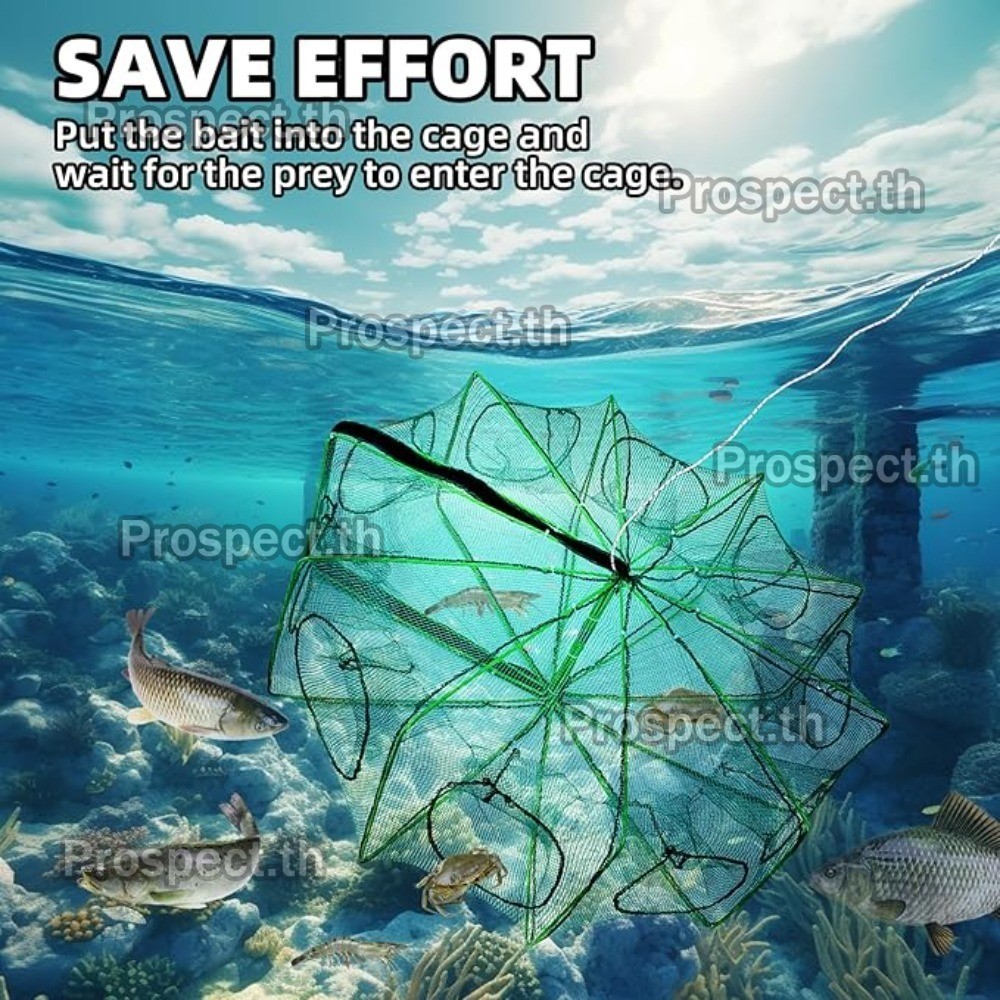 10ช่อง ตาตกกระชังปลา มุ้งดักปลา 4 6 8 10 ช่อง ตาข่ายดักปลา กระชังปลา ที่ดักปลา ที่ดักกุ้ง พับเก็บได้ ร้านไทย - รูปที่ 5