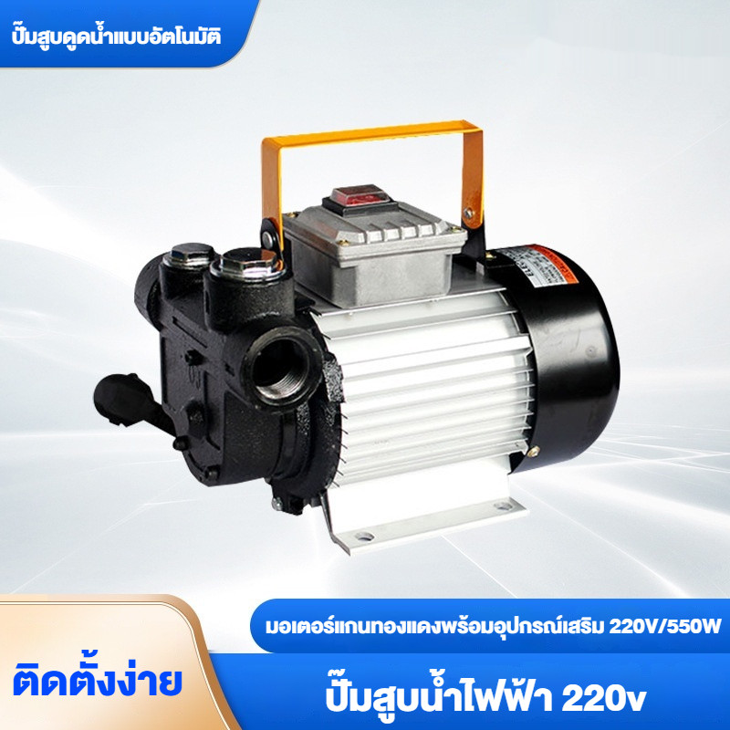 ปั๊มน้ำมันไฟฟ้า  220v  ปั๊มดูดน้ำมันเบนซินดีเซล  เครื่องสูบน้ำมันขนาดเล็ก  เครื่องมือเติมน้ำมัน  ปั๊