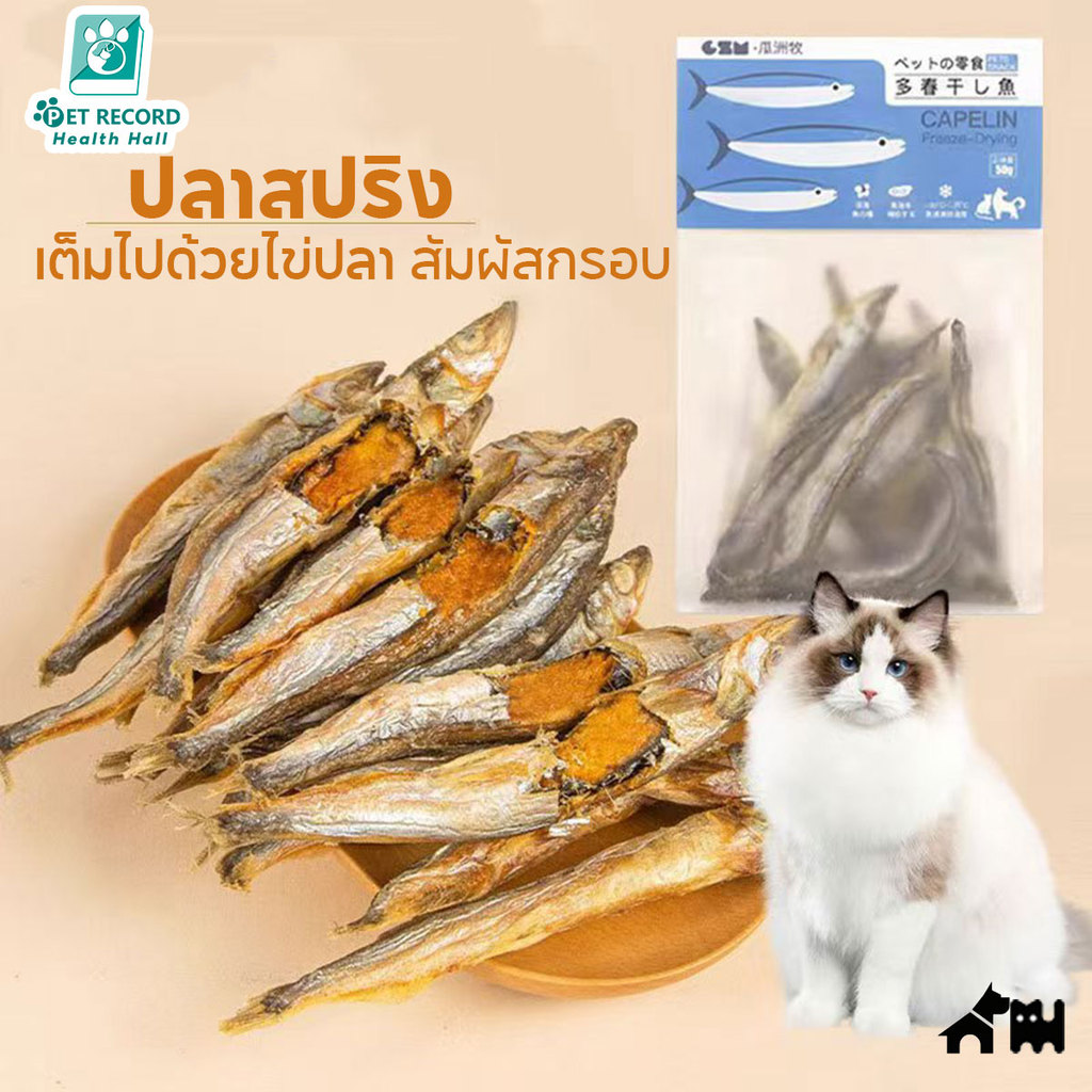 ปลาไข่แมว ปลาไข่ฟรีซดราย อบแห้ง ขนมแมว ปลาไข่เต็มตัว ขนมแมว ธรรมชาติ แมวชอบมาก