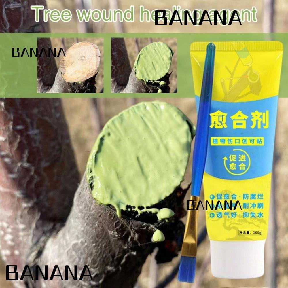 BANANA1 Tree Wound Sealant, 100g พร้อมแปรง Grafting Tree Sealer, Tree Repair Smear Agent Plant Resto