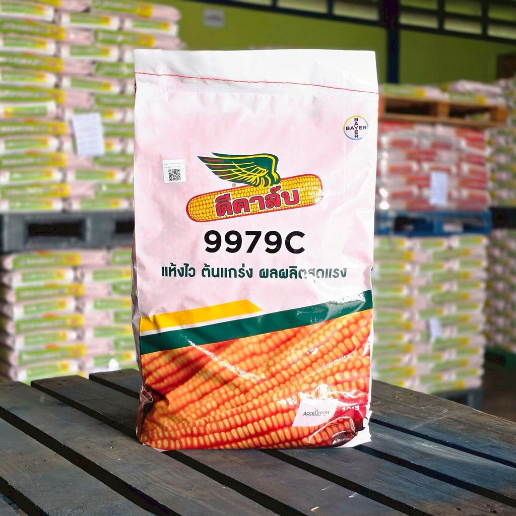 เมล็ดพันธุ์ข้าวโพด ดีคาล์บ 9979C (3.5 หุน) *ขนาด 10 กก. แห้งไว ต้นแกร่ง ผลผลิตสูง เหมาะเก็บเกี่ยวด้ว