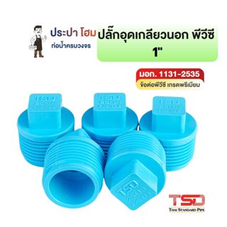 ปลั๊กอุดเกลียวนอก พีวีซี 1