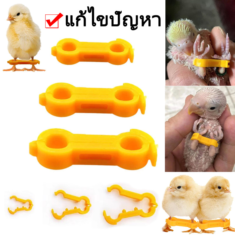 อุปกรณ์ช่วยแก้ไขท่าทรงตัวของนก อุปกรณ์แก้ไขขาไก่ นกแก้ว ขาไก่ แก้ไขขาไก่กาง ขาเป็ด ขานกพิราบ แหวนยึดขา