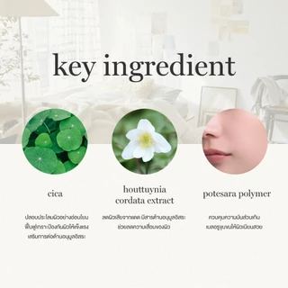 by365 powder UV cream SPF50+ PA++++ 60g กันแดดเนื้อแป้ง สูตรธรรมดา ผิวธรรมชาติ คุมมัน กันน้ำ กันเหงื่อ
