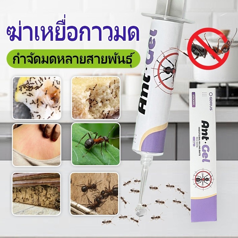 Antiant เจลกำจัดมด แอนติแอนท์ เหยื่อกำจัดมด เจลล่อมด หยดเดียวตายยกรัง 60g/30g เพิ่มปริมานขึ้น