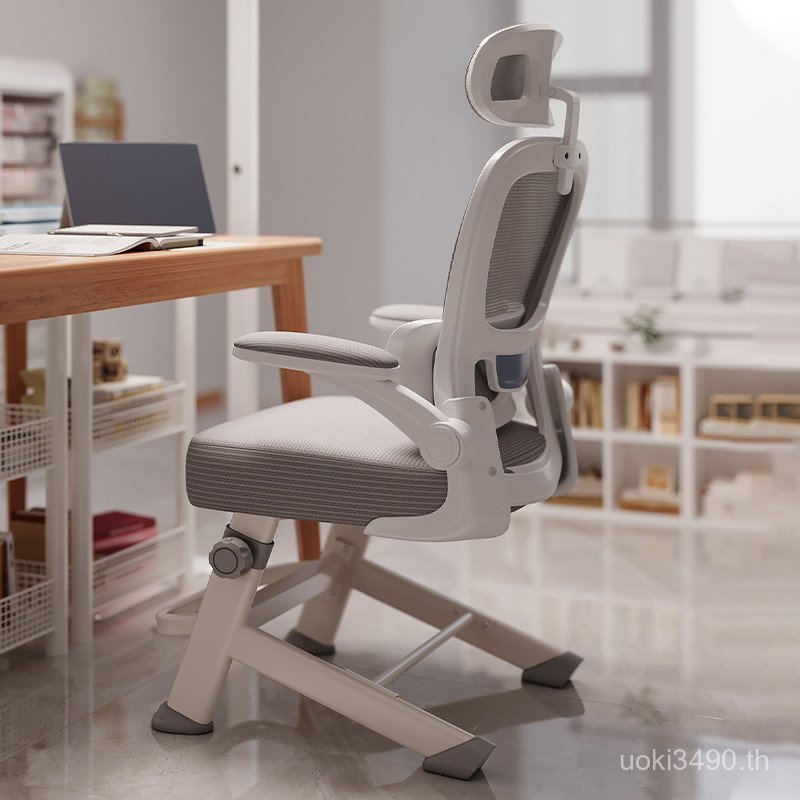 เก้าอี้ Ergonomic Dedicated Junior High School Learning Writing Chair Youth E3JE