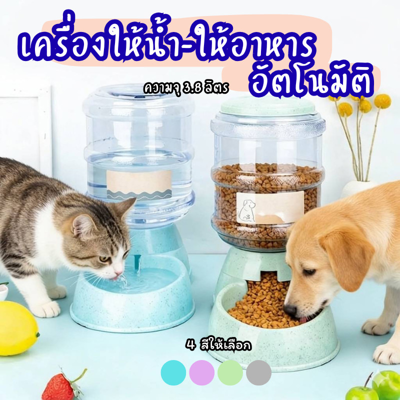 HM-เครื่องให้น้ำ เครื่องให้อาหาร ที่ให้น้ำอัตโนมัติ ที่ให้อาหารอัตโนมัติ ที่ให้อาหารสัตว์เลี้ยงY4716