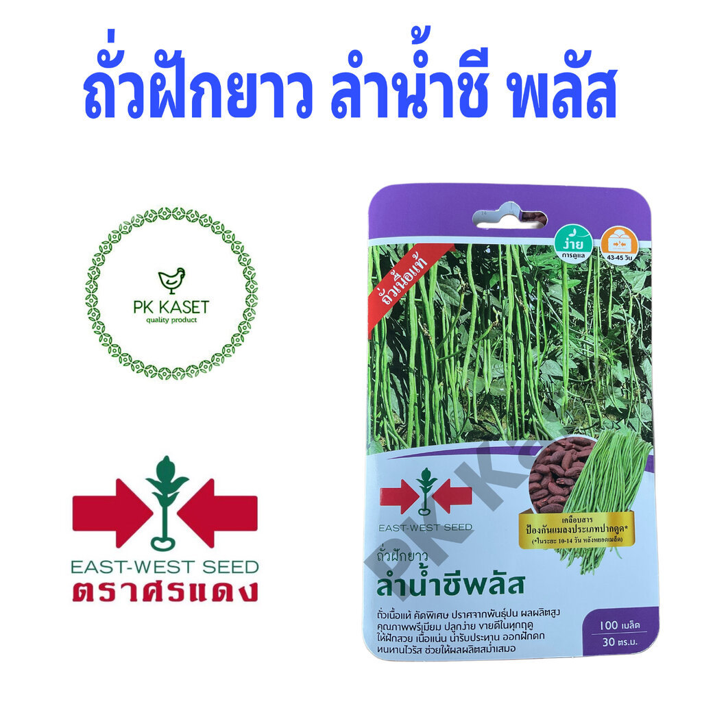 ถั่วฝักยาว ลำน้ำชีพลัส เมล็ดถั่วฝักยาว บรรจุ 100กรัม 500กรัม ตราศรแดง
