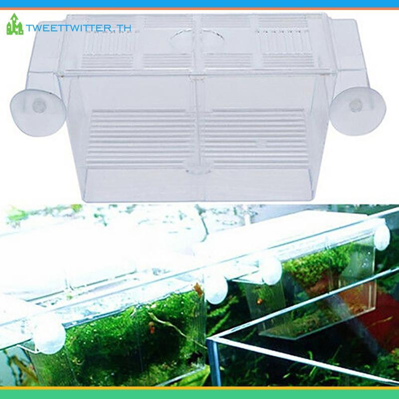 Tweet Aquarium Fish Tank Guppy Double Breeding Breeder Rearing Trap Box Hatchery TH