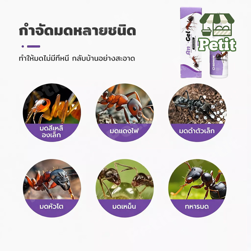 ยาฆ่ามด เจลกำจัดมด เหยื่อกำจัดมด ไล่มด ป้องกันมด เจลไล่มด เจลล่อมด สำหรับใช้ในบ้าน รูปที่ 5
